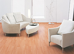 PARQUETS flottants H�tre 6 couches de vitrificateur 