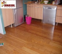 parquet DINASOL Parquet