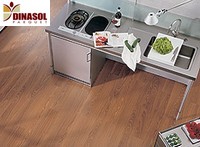 Parquet DINASOL Parquet