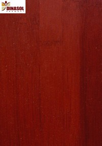 bambou rouge