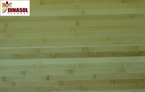 maison-parquet