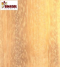plancher-chauffant-electrique