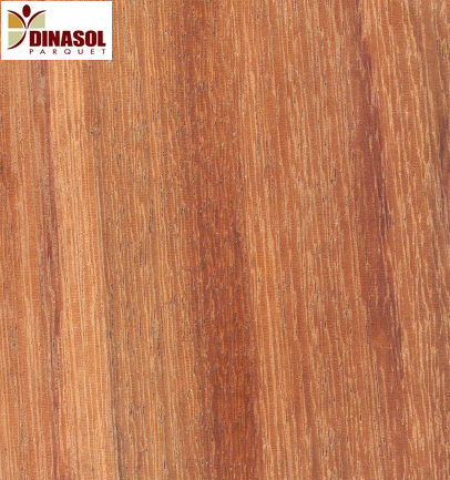 plancher-bois-franc