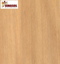 pose-de-plancher