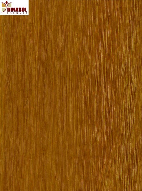 specialiste-du-parquet